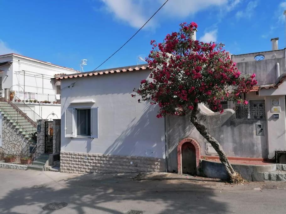 Sweet Home, Anacapri Екстериор снимка